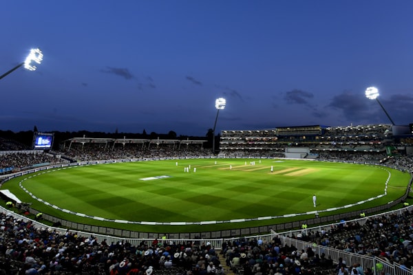 主办城市新建的现代化体育场馆夜景，灯光璀璨